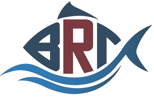 The BigRedTetra logo: A fish made out of the initials B, R, and T